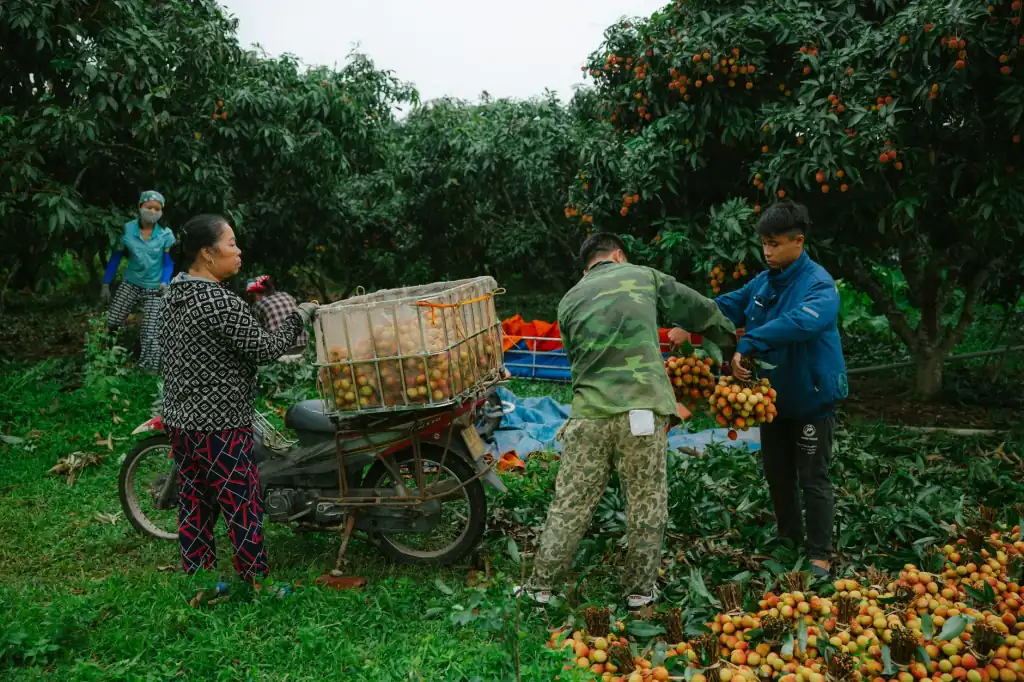 南宁中小企业财税管理一站式服务方案设计与优势解析