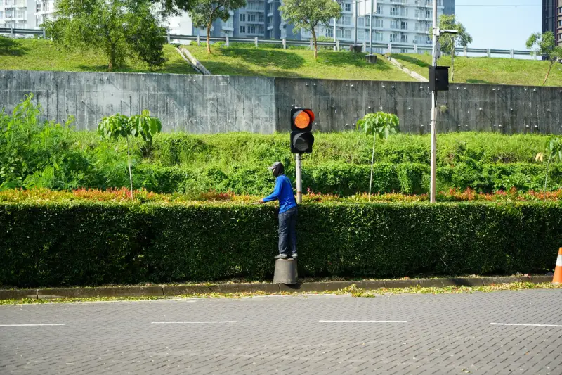 2025年财税咨询行业新规对企业管理的影响与应对策略