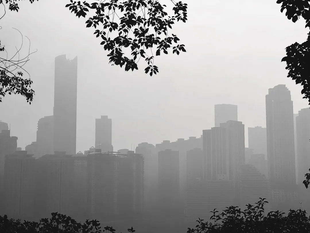 广西企业管理咨询与代理记账一体化服务优势解析